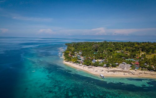 Pamilacan Island Tour with Dolphin and Turtle Watching in Bohol