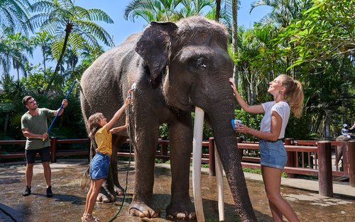 Jumbo Wash-oplevelse i Mason Elephant Park på Bali