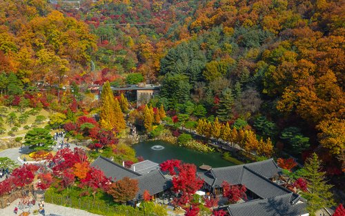 花潭植物園、光明洞窟和韓國民俗村一日遊