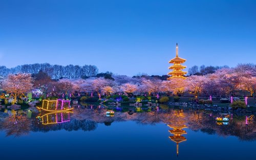 East Lake Scenic Area & Hubei Provincial Museum & Optics Valley Pedestrian Street Private Car Day Tour