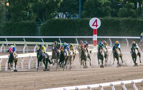 One-Day Exploration Tour of Goshikinuma and Fukushima Racecourse