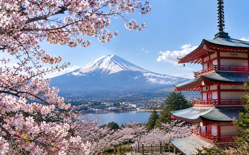 Mount Fuji & Gotemba Premium Outlets Full-Day Private Tour
