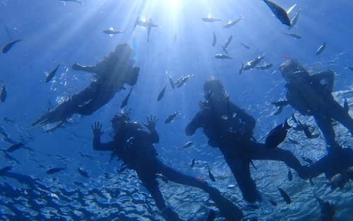 日本沖繩｜青之洞窟浮潛｜中文英文教練！GoPro拍攝＆免費水下餵食