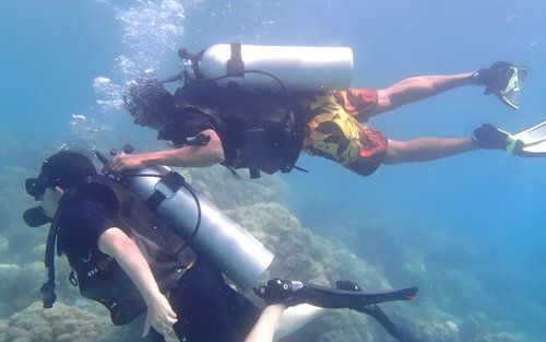 Goa: Paglalakbay sa Grand Island