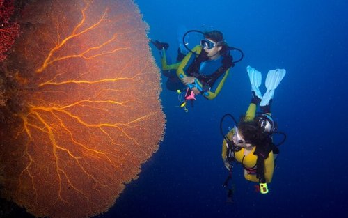 PADI Tauchkurs Open Water in 3 Tagen - Hurghada