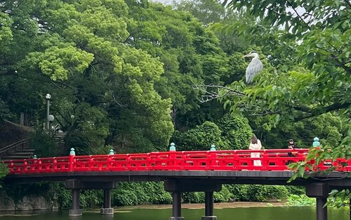ওসাকা প্রাচীন মন্দির এবং শিনসেকাই ছোট দলীয় ভ্রমণ