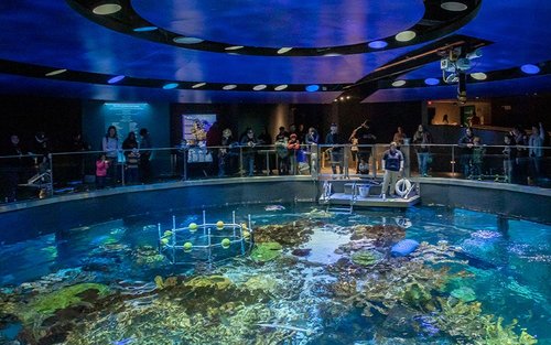 新英格兰水族馆门票