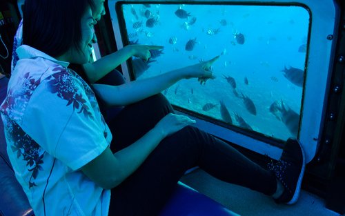 水中観光船オルカ号でクルーズ体験(那覇発)