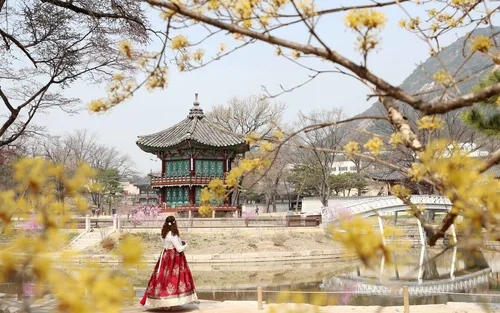 首尔私人摄影 - 捕捉韩国当地精彩瞬间