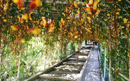 4D3N Baguio en Sagada Tour