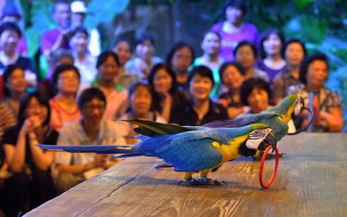 Green World Ecological Farm Ticket in Hsinchu