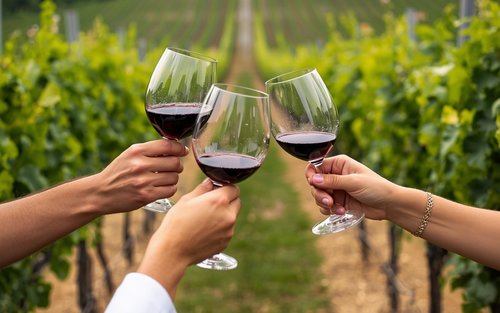 Adelaide Hills Divine Wine Tour