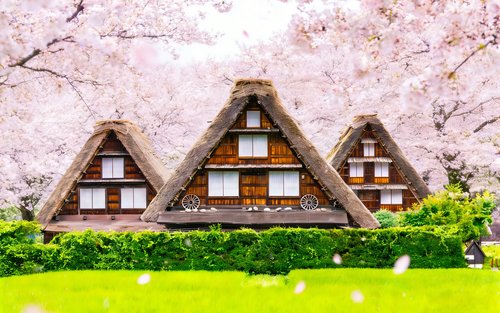 Tour di un giorno a Nagoya, Shirakawa-go e Takayama