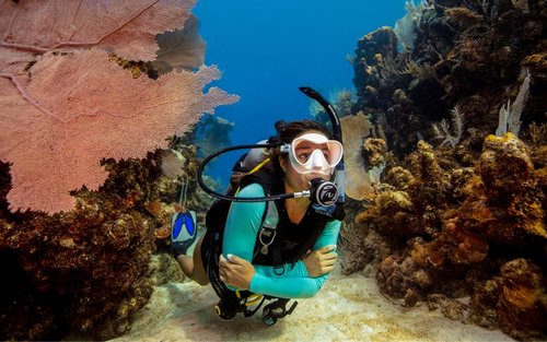 Get your first diving license in Koh Chang with PADI Dive Center
