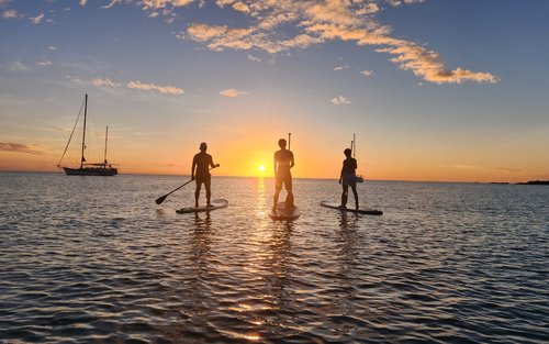 Watch the Sunrise while you're paddle boarding in Koh Samui