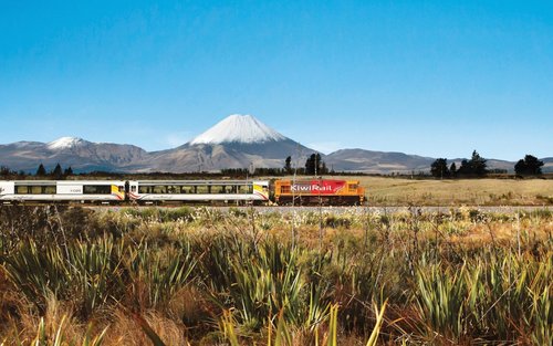 Northern Explorer Train Ticket between Auckland and Wellington