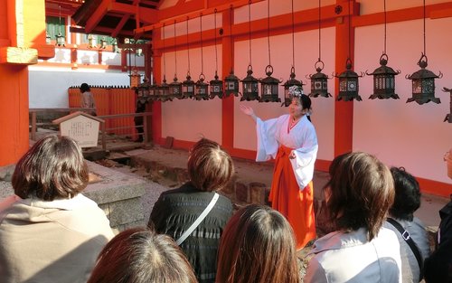 Kyoto and Nara Day Tour from Kyoto or Osaka