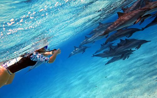 Sataya Dolphin House Bootsfahrt mit Mittagessen ab Marsa Alam