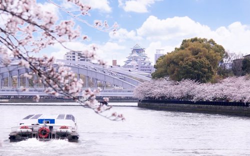 Osaka One Day City Exploration Walking Tour from Osaka or Kyoto