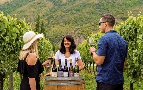 Queenstown Classic Afternoon Wine Half Day Tour 