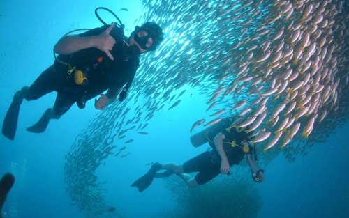 ダイビング シュノーケリング ヒィン skin-diving-sea-1024x768-1-