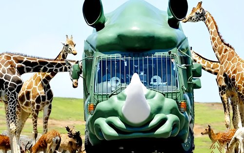 【家族向け】大分日帰り旅行｜湯布院散策、金鱗湖の朝焼け、九州自然動物公園、別府地獄めぐり（海地獄・かまど地獄）｜福岡発