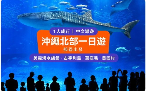 Chinese Guide, including tickets