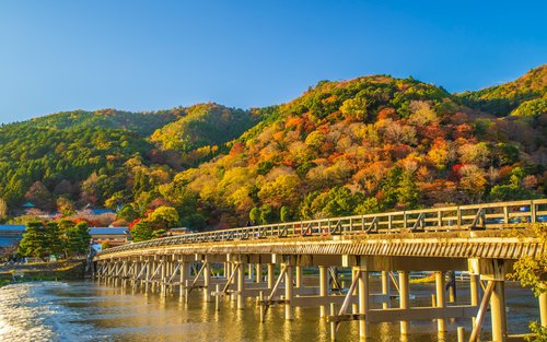 京都と奈良日帰りツアー（オプションで和牛「神戸ビーフ」ランチにアップグレード）