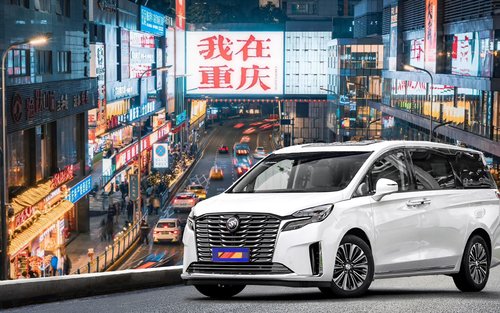 重庆市内包车一日游