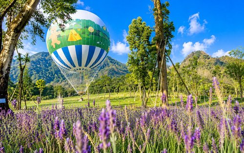 Nantou Sun Moon Lake & Jiujiu Peak Day Tour, Small Group