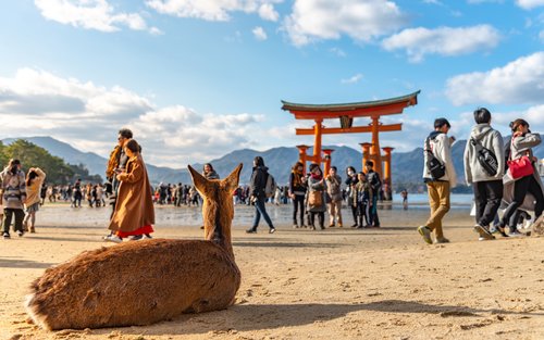 From Osaka: Hiroshima and Miyajima Day Trip by Bullet Train (Optional)