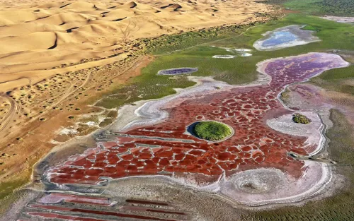 Yinchuan Tengger Desert Six Lakes Full-Day Tour