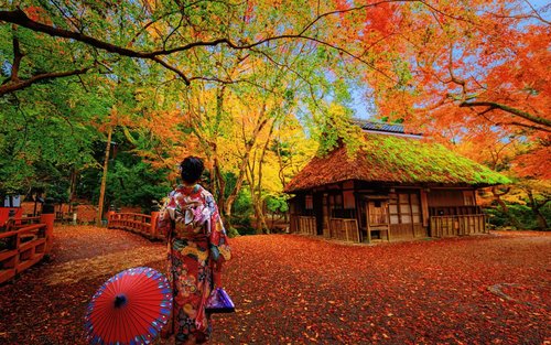 竈門神社＋由布院＋海地獄＋耶馬溪 一日紅葉狩りルート（福岡出発）