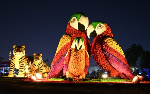 杜拜夜光花园门票