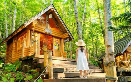 Tour di un giorno classico a Hokkaido: Zoo di Asahikawa, albero di KenMary, cascate di Shirohige, stagno blu di Biei e terrazza degli elfi