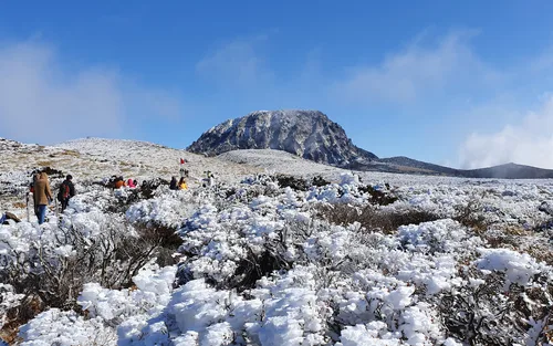 济州岛一日地道之旅 - 西南 / 东部