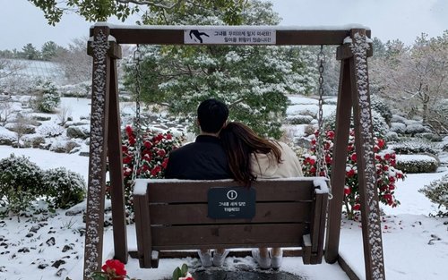 Jeju Day Tour Package Featuring Four Major Seasonal Flowers