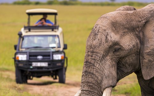 Aquila Private Game Reserve Full-Day Safari with Big Five