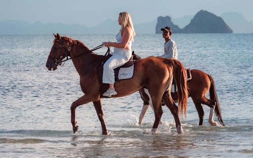 Expérience d'équitation au coucher du soleil à Ko Samui