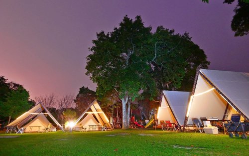 Miaoli Camping | Tree Whispers & Starry Skies 