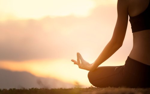 Shinrin-yoku Yoga em Hokkaido: Despertando a Respiração no Santuário de Hokkaido