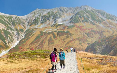 東京出發：立山黑部大雪谷、上高地、河口湖大石公園、飛驒高山，雪國+聖山經典三日巡禮
