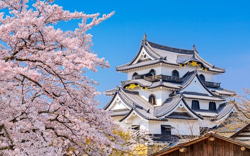 Lake Biwa in Four Seasons, La Collina Omihachiman, and a Day Trip to Nara (from Osaka)