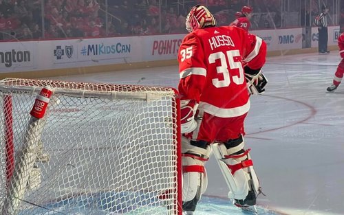 Detroit Red Wings Ice Hockey Game at Little Caesars Arena