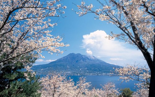 Kagoshima Sakurajima Half-Day Small Group Volcano Tour