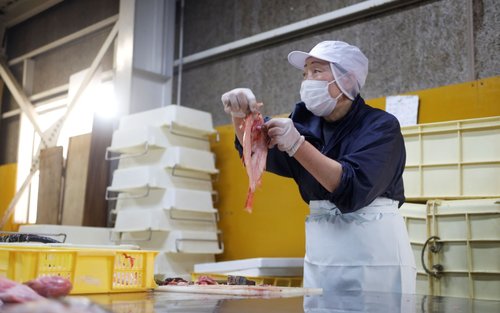 Karanasanin ang paggawa ng tuyong isda sa Abashiri, isang bayan ng drift ice
