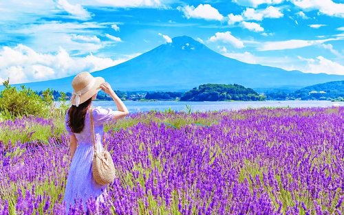 Monte Fuji | Gita di un giorno al Lago Kawaguchi con vista stagionale sul Monte Fuji e alle terme/gita in barca sul Lago Yamanaka | Partenza da Tokyo/Shinjuku