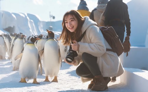 Lawatan Sehari ke Tempat Tarikan Popular Hokkaido｜Zoo Asahikawa & Pokok Viral & Air Terjun Shirogane & Kolam Biru Biei & Teras Ningle