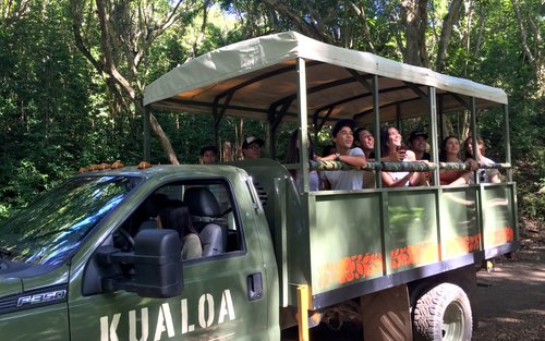 Kaneohe Hakipu u Rainforest Jungle Expedition