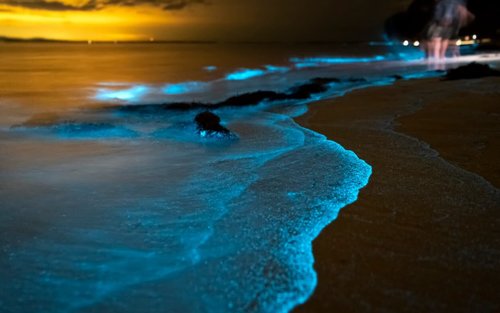 Phuket : Plancton bioluminescent et canoës de mer dans la baie de Phang Nga